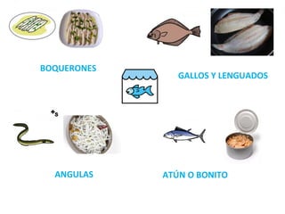 BOQUERONES
GALLOS Y LENGUADOS
ANGULAS ATÚN O BONITO
 