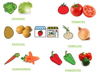 LECHUGA
TOMATES
PATATAS
CEBOLLAS
ZANAHORIAS PIMIENTOS
 