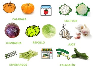 CALABAZA
COLIFLOR
LOMBARDA REPOLLO
AJOS
ESPÁRRAGOS CALABACÍN
 
