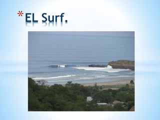 *EL Surf.
 