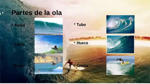 Resultat d'imatges de labio de la ola