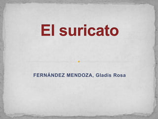 FERNÁNDEZ MENDOZA, Gladis Rosa El suricato 
