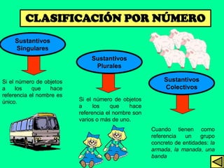 CLASIFICACIÓN POR NÚMERO
    Sustantivos
    Singulares
                              Sustantivos
                               Plurales

Si el número de objetos                                   Sustantivos
a     los   que   hace                                    Colectivos
referencia el nombre es
único.                    Si el número de objetos
                          a     los    que    hace
                          referencia el nombre son
                          varios o más de uno.
                                                     Cuando tienen como
                                                     referencia   un    grupo
                                                     concreto de entidades: la
                                                     armada, la manada, una
                                                     banda
 