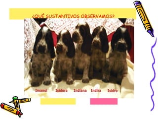 ¿QUÉ SUSTANTIVOS OBSERVAMOS?
 