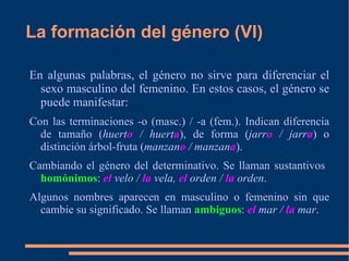 El género del sustantivo Es un morfema que agrupa a los sustantivos en  masculinos  y  femeninos . 