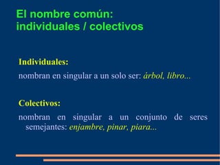 Director - Ø  /  Director -a 