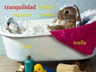  - consonante/y    -es: dedal – dedales    álbum - álbumes- í / ú      -es: maní – maníes                        tabú   tabúesají -  ajíes- s / -x         no varían: el análisis – los análisis          la crisis – las crisis 