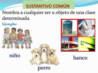 Sustantivo comúnNombra a cualquier ser u objeto de una clase determinada.Ejemplo:niñobancoperro