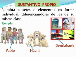 Sustantivo  PROPIONombra a seres o elementos en forma individual, diferenciándoles de los de su misma clase.Ejemplo:ScotiabankPabloHachi