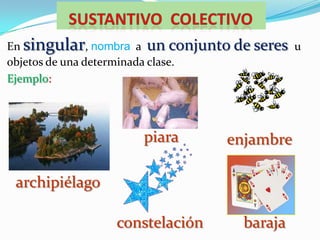 Sustantivo  COLECTIVOEn singular, nombra  a  un conjunto de seres  u objetos de una determinada clase.Ejemplo:piaraenjambrearchipiélagoconstelaciónbaraja