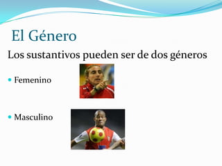 Rojo Sustantivo compuesto: Es un solo sustantivo formado a partir de dos palabrasCubrecama (verbo cubrir y sustantivo cama)