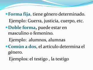 Abrelatas (verbo abrir y sustantivo lata)