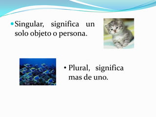 DefiniciónSon los cambios que sufren las palabras  en sus terminaciones .