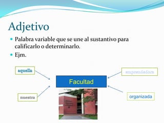 Clases de sustantivos según el género