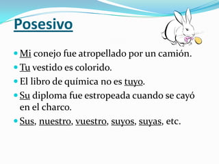 El NúmeroExpresa cantidad. Se establece la oposición singular y plural.