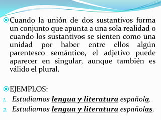 Adjetivo referido a dos o más sustantivos va en plural.