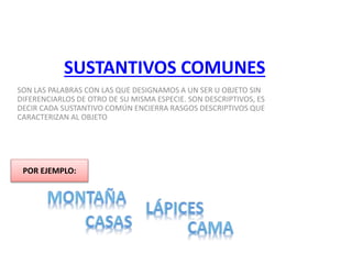 SUSTANTIVOS COMUNES
SON LAS PALABRAS CON LAS QUE DESIGNAMOS A UN SER U OBJETO SIN
DIFERENCIARLOS DE OTRO DE SU MISMA ESPECIE. SON DESCRIPTIVOS, ES
DECIR CADA SUSTANTIVO COMÚN ENCIERRA RASGOS DESCRIPTIVOS QUE
CARACTERIZAN AL OBJETO
POR EJEMPLO:
 