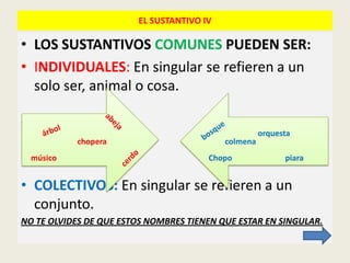 EL SUSTANTIVO IV

• LOS SUSTANTIVOS COMUNES PUEDEN SER:
• INDIVIDUALES: En singular se refieren a un
  solo ser, animal o cosa.

•   +ÁRBOL
                                                     orquesta
             chopera                       colmena
    músico                             Chopo               piara


• COLECTIVOS: En singular se refieren a un
  conjunto.
NO TE OLVIDES DE QUE ESTOS NOMBRES TIENEN QUE ESTAR EN SINGULAR.
 