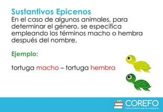 Comprendiendo el Sustantivo: Género y Número en Español | PPTX