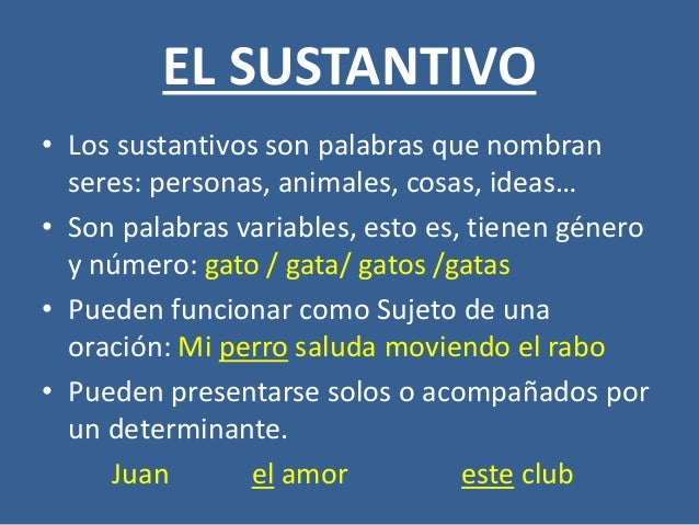 El Sustantivo Web