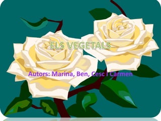 Autors: Marina, Ben, Cesc i Carmen
 