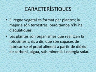 CARACTERÍSTIQUES
• El regne vegetal és format per plantes; la
  majoria són terrestres, però també n’hi ha
  d’aquàtiques....