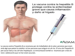 La vacuna contra l’hepatitis B es recomana per als treballadors de la salut, persones que viuen
amb algú que pateix la malaltia i al tres persones que estiguin en alt risc. El virus de l’hepatitis B
pot causar dany a les cèl·lules hepàtiques. La immunització també es recomana per a tots els
nens i adolescents que no han estat vacunats.
 