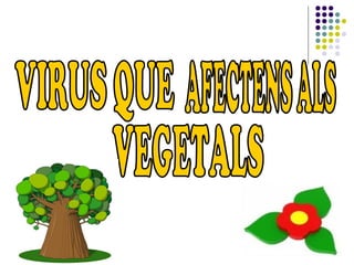 VIRUS QUE AFECTENS ALS VEGETALS 