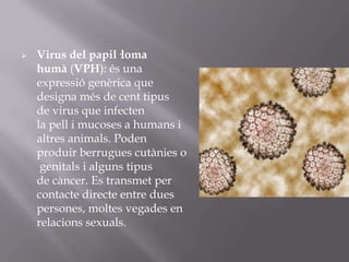    Virus del papil·loma
    humà (VPH): és una
    expressió genèrica que
    designa més de cent tipus
    de virus que infecten
    la pell i mucoses a humans i
    altres animals. Poden
    produir berrugues cutànies o
     genitals i alguns tipus
    de càncer. Es transmet per
    contacte directe entre dues
    persones, moltes vegades en
    relacions sexuals.
 