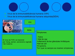 Virus de la immunodeficiència humana (VIH) Virus de la immunodeficiència humana adquirida(SIDA) VIH SIDA Símptomes:   Febre Mal de cap Inflamació de les glàndules limfàtiques Mal de coll Erupcions. Tot i que no sempre es mostren símptomes. El virus de l’VIH, es transmet per: Sang, semen, secrecions vaginals i llet materna 