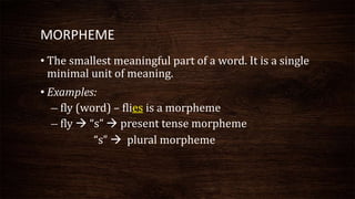 English Language Teaching 333 Morphological Analysis Pptx