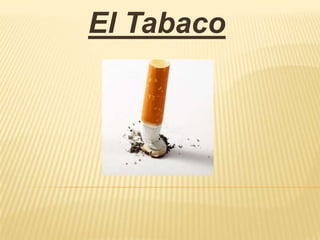 El Tabaco
 