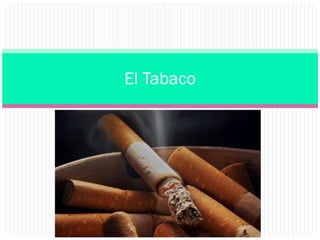 El Tabaco

 