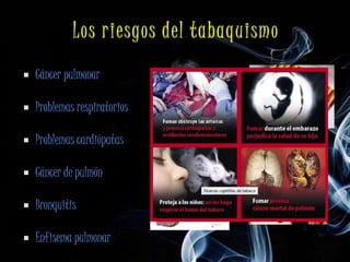    Cáncer pulmonar

   Problemas respiratorios

   Problemas cardiópatas

   Cáncer de pulmón

   Bronquitis

   Enfisema pulmonar
 