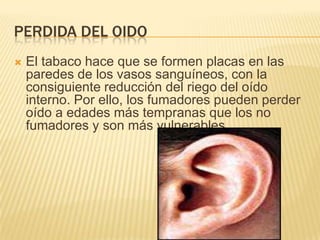PERDIDA DEL OIDO
   El tabaco hace que se formen placas en las
    paredes de los vasos sanguíneos, con la
    consiguiente reducción del riego del oído
    interno. Por ello, los fumadores pueden perder
    oído a edades más tempranas que los no
    fumadores y son más vulnerables.
 