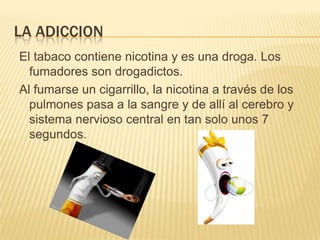 LA ADICCION
El tabaco contiene nicotina y es una droga. Los
  fumadores son drogadictos.
Al fumarse un cigarrillo, la nicotina a través de los
  pulmones pasa a la sangre y de allí al cerebro y
  sistema nervioso central en tan solo unos 7
  segundos.
 