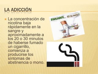 LA ADICCIÓN
   La concentración de
    nicotina baja
    rápidamente en la
    sangre y
    aproximadamente a
    los 20 o 30 minutos
    de haberse fumado
    un cigarrillo,
    comienza a
    producirse los
    síntomas de
    abstinencia o mono.
 