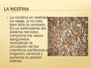 LA NICOTINA
    La nicotina en realidad
     no relaja, si no mas
     bien todo lo contrario.
     Es un estimulante del
     sistema nervioso,
     comprime los vasos
     sanguíneos
     reduciendo la
     circulación de los
     miembros periféricos e
     irrigación cerebral y
     aumenta la presión
     arterial.
 