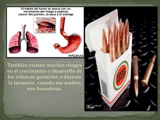 También existen muchos riesgos
en el crecimiento y desarrollo de
los niños en gestación o durante
la lactancia, cuando sus madres
         son fumadoras.
 