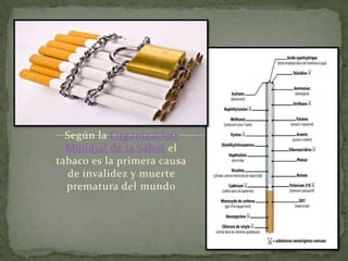 Según la Organización
  Mundial de la Salud el
tabaco es la primera causa
  de invalidez y muerte
  prematura del mundo
 