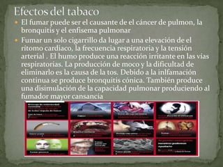  El fumar puede ser el causante de el cáncer de pulmon, la
  bronquitis y el enfisema pulmonar
 Fumar un solo cigarrillo da lugar a una elevación de el
  rítomo cardiaco, la frecuencia respiratoria y la tensión
  arterial . El humo produce una reacción irritante en las vías
  respiratorias. La producción de moco y la dificultad de
  eliminarlo es la causa de la tos. Debido a la inlfamación
  continua se produce bronquitis cónica. También produce
  una disimulación de la capacidad pulmonar produciendo al
  fumador mayor cansancia
 
