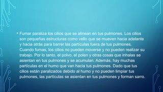 • Fumar paraliza los cilios que se alinean en tus pulmones. Los cilios
son pequeñas estructuras como vello que se mueven hacia adelante
y hacia atrás para barrer las partículas fuera de tus pulmones.
Cuando fumas, los cilios no pueden moverse y no pueden realizar su
trabajo. Por lo tanto, el polvo, el polen y otras cosas que inhalas se
asientan en tus pulmones y se acumulan. Además, hay muchas
partículas en el humo que van hacia tus pulmones. Dado que tus
cilios están paralizados debido al humo y no pueden limpiar tus
pulmones, las partículas se asientan en tus pulmones y forman sarro.
 