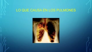 LO QUE CAUSA EN LOS PULMONES
 