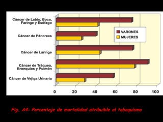 Fig. A4: Porcentaje de mortalidad atribuible al tabaquismo 