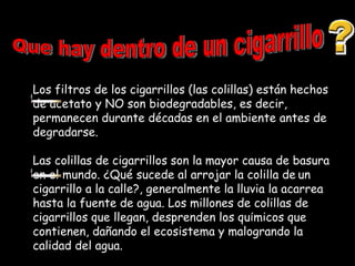 Los filtros de los cigarrillos (las colillas) están hechos de acetato y NO son biodegradables, es decir, permanecen durante décadas en el ambiente antes de degradarse.  Las colillas de cigarrillos son la mayor causa de basura en el mundo. ¿Qué sucede al arrojar la colilla de   un cigarrillo a la calle?, generalmente la lluvia la acarrea hasta la fuente de agua. Los millones de colillas de cigarrillos que llegan, desprenden los qu í micos que contienen, dañando el ecosistema y malogrando la calidad del agua.  Que hay dentro de un cigarrillo 