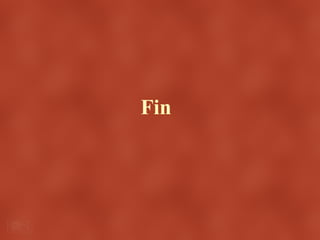 Fin
 