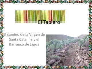 El Tablero El camino de la Virgen de Santa Catalina y el Barranco de Jagua 