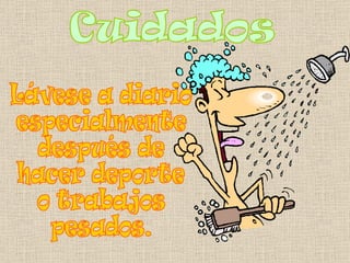 Cuidados Lávese a diario  especialmente  después de  hacer deporte  o trabajos  pesados. 