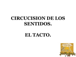 CIRCUCISION DE LOS
    SENTIDOS.

    EL TACTO.
 