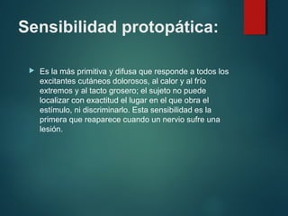 Sensibilidad protopática:
 Es la más primitiva y difusa que responde a todos los
excitantes cutáneos dolorosos, al calor y al frío
extremos y al tacto grosero; el sujeto no puede
localizar con exactitud el lugar en el que obra el
estímulo, ni discriminarlo. Esta sensibilidad es la
primera que reaparece cuando un nervio sufre una
lesión.
 